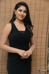 Kruthika Jayakumar at Vinavayya Ramayya Movie Audio Launch